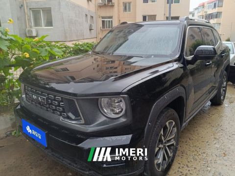 2023 Haval Dargo Big Dog PLUS 2.0T Four-wheel drive off-road version Plus - car from China
