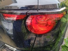 Haval Dargo Big Dog PLUS 2.0T Four-wheel drive off-road version Plus - фото 5