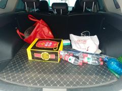 Haval H6 2.0T Two-Wheel Drive Max - фото 7