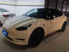 Tesla Model Y 545km Rear-Wheel Drive Edition - ფოტო 1