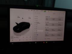 Tesla Model Y 545km Rear-Wheel Drive Edition - ფოტო 20