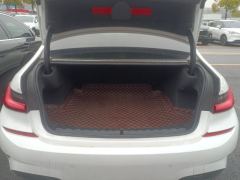 BMW 3 Series 320Li M Sport Package - ფოტო 7