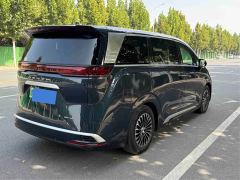 Denza D9 DM-i 970 AWD Premium Edition - ფოტო 9