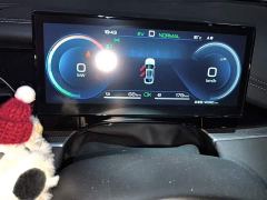 BYD Seal 06 DM-i 120KM Honor Edition - photo 12