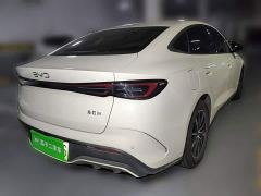 BYD Seal 06 DM-i 120KM Honor Edition - photo 6