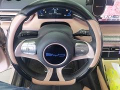 BYD Seagull 305km Vitality Edition - ფოტო 18