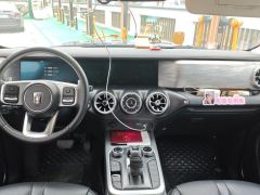 Tank 300 Urban Edition 2.0T Manual - ფოტო 16