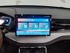 BYD Tang DM-i 1.5T 112KM Precursor Premium - photo 17