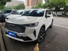 Haval H6 1.5T Two-Wheel Drive Classic Edition - ფოტო 1