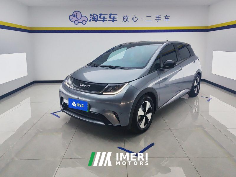 BYD Dolphin 420km Stylish Edition - ავტომობილი ჩინეთიდან