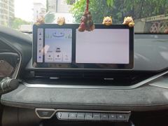 Geely Xingui Xingrui 2.0T Only this turquoise version - photo 17