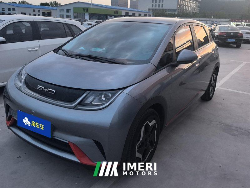 BYD Dolphin 405km Stylish Edition - car from China