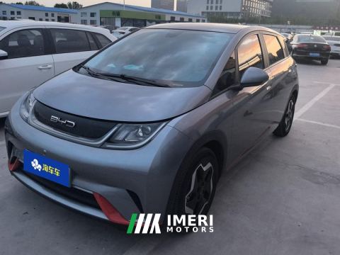 2021 BYD Dolphin 405km Stylish Edition - ავტომობილი ჩინეთიდან