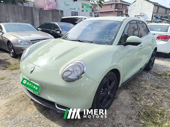 ORA Good Cat 401km Deluxe 135kW - car from China