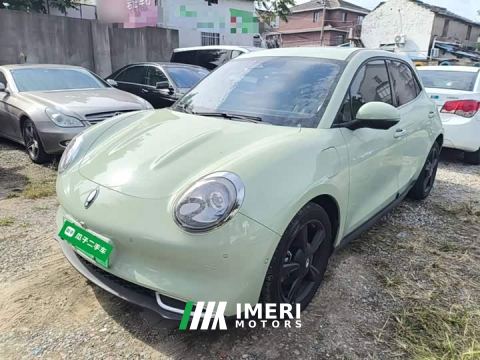 2024 ORA Good Cat 401km Deluxe 135kW - car from China