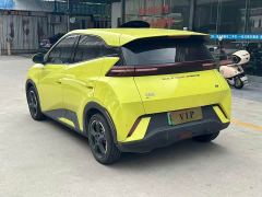 BYD Seagull Glory Edition 305km Freedom Version - ფოტო 4