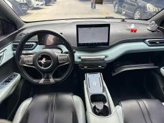 BYD Seagull Glory Edition 305km Freedom Version - ფოტო 9