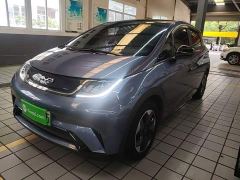 BYD Dolphin Glory Edition 420km Fashion Version - ფოტო 1