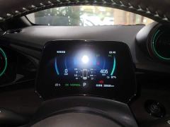 BYD Dolphin Glory Edition 420km Fashion Version - ფოტო 11