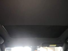 BYD Dolphin Glory Edition 420km Fashion Version - ფოტო 17