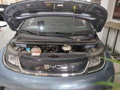 BYD Dolphin Glory Edition 420km Fashion Version - ფოტო 19