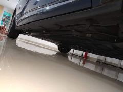 BYD Dolphin Glory Edition 420km Fashion Version - ფოტო 20