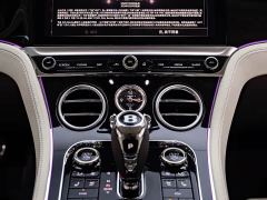 Bentley Continental Plug-in Hybrid GT Base - ფოტო 10