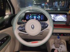 Ora Great Wall Good Cat Morandi version 401km Standard Range Luxury Edition Lithium iron phosphate - фото 18