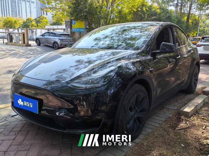 Tesla Model Y 554km Rear-Wheel Drive Edition - автомобиль из Китая