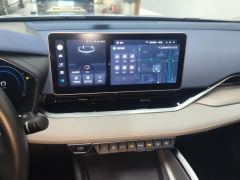 Geely Xingui Xingrui 2.0T Prestigious Edition - фото 17