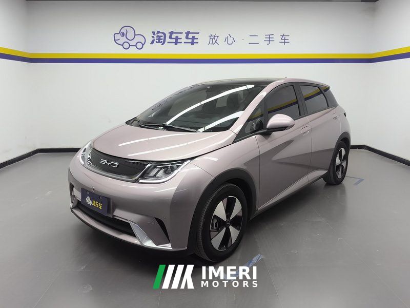 BYD Dolphin 420km Stylish Edition - car from China