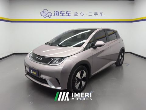 2023 BYD Dolphin 420km Stylish Edition - автомобиль из Китая