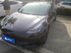 Tesla Model 3 Standard Range Edition 3D6 - фото 1