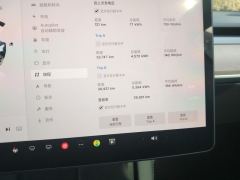 Tesla Model 3 Standard Range Edition 3D6 - фото 20