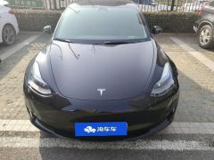Tesla Model 3 Standard Range Edition 3D6 - фото 3