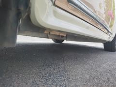 Ora Ballet Cat 401km Deluxe - ფოტო 10