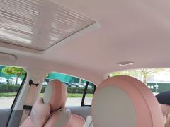 Ora Ballet Cat 401km Deluxe - ფოტო 15