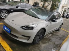 Tesla Model 3 Standard Range Edition 3D6 - фото 1