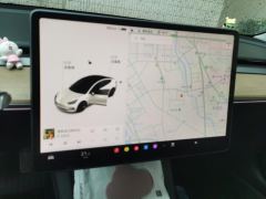Tesla Model 3 Standard Range Edition 3D6 - фото 17