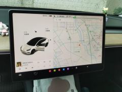 Tesla Model 3 Standard Range Edition 3D6 - фото 20