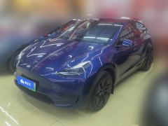 Tesla Model Y 554km Rear-Wheel Drive Edition - ფოტო 1