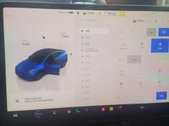 Tesla Model Y 554km Rear-Wheel Drive Edition - ფოტო 20