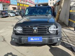 Tank 300 2.0T Conqueror - photo 3