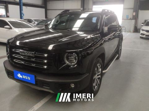 2021 Haval Great Wall Big Dog 1.5T 2WD Edition - автомобиль из Китая