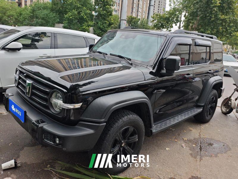 Tank 300 Off-Road Edition 2.0T Conqueror - ავტომობილი ჩინეთიდან