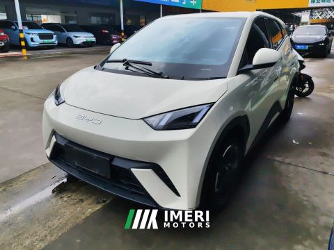 2023 BYD Seagull 305km Free Version - ავტომობილი ჩინეთიდან