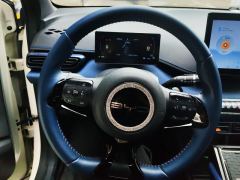 BYD Seagull 305km Free Version - ფოტო 18