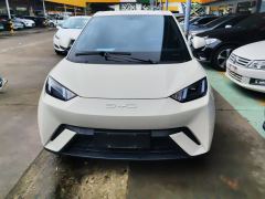 BYD Seagull 305km Free Version - ფოტო 3