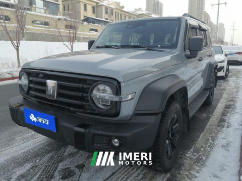 2021 Tank 300 Off-Road Edition 2.0T Challenger - ავტომობილი ჩინეთიდან