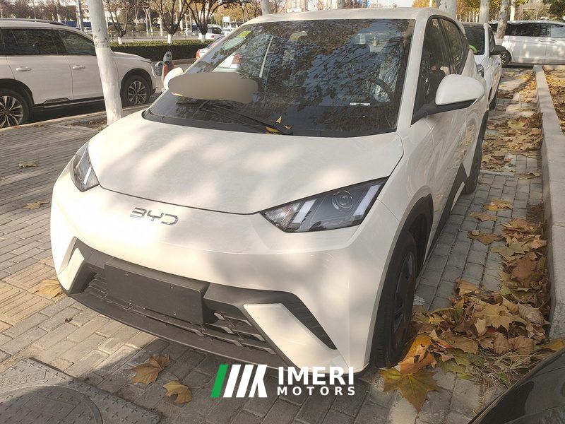 BYD Seagull 305km Free Version - car from China